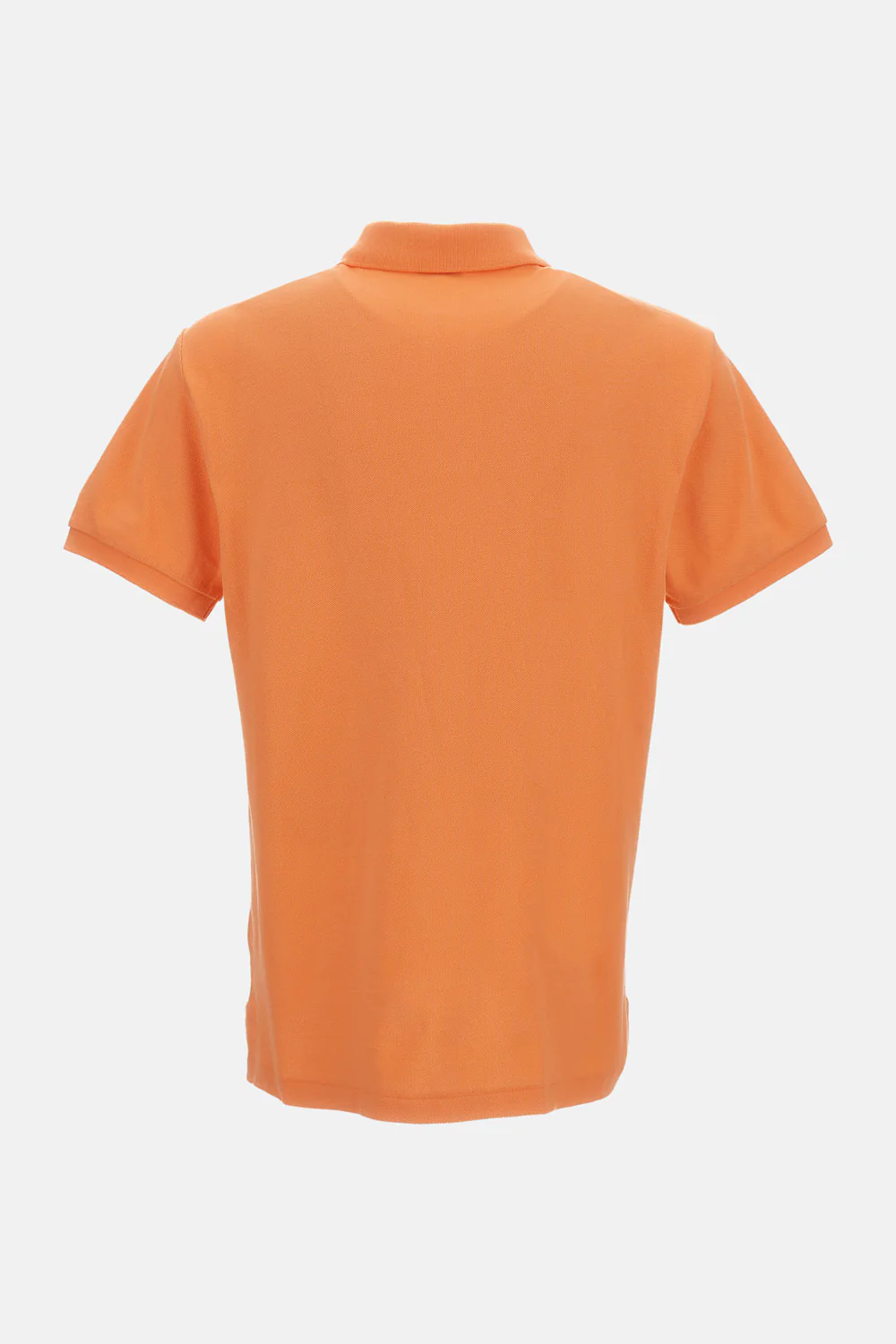 POLO - Image 2