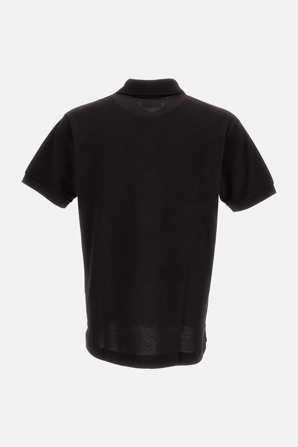 POLO - Image 2