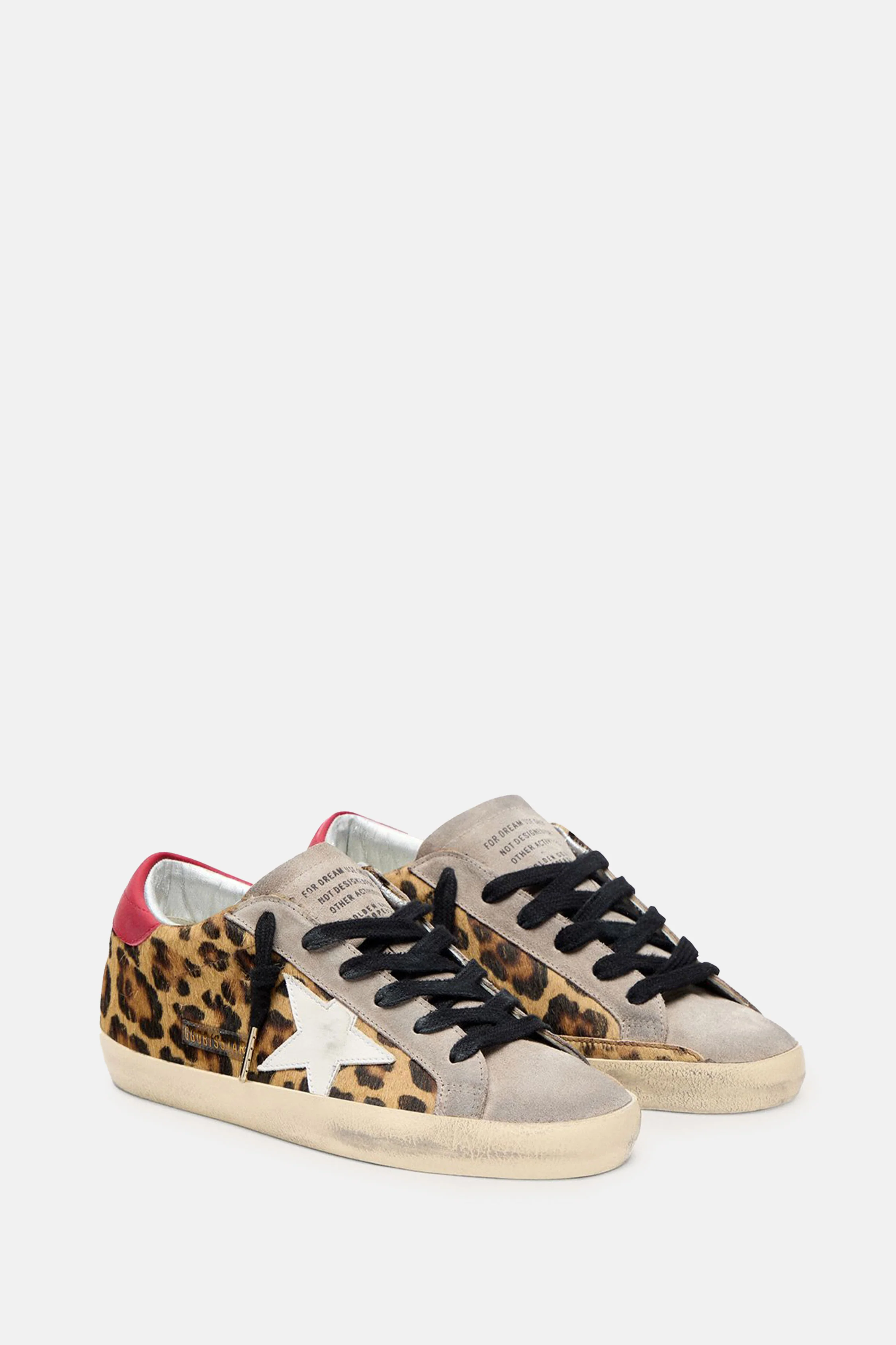 SUPER-STAR LEOPARD - Image 2
