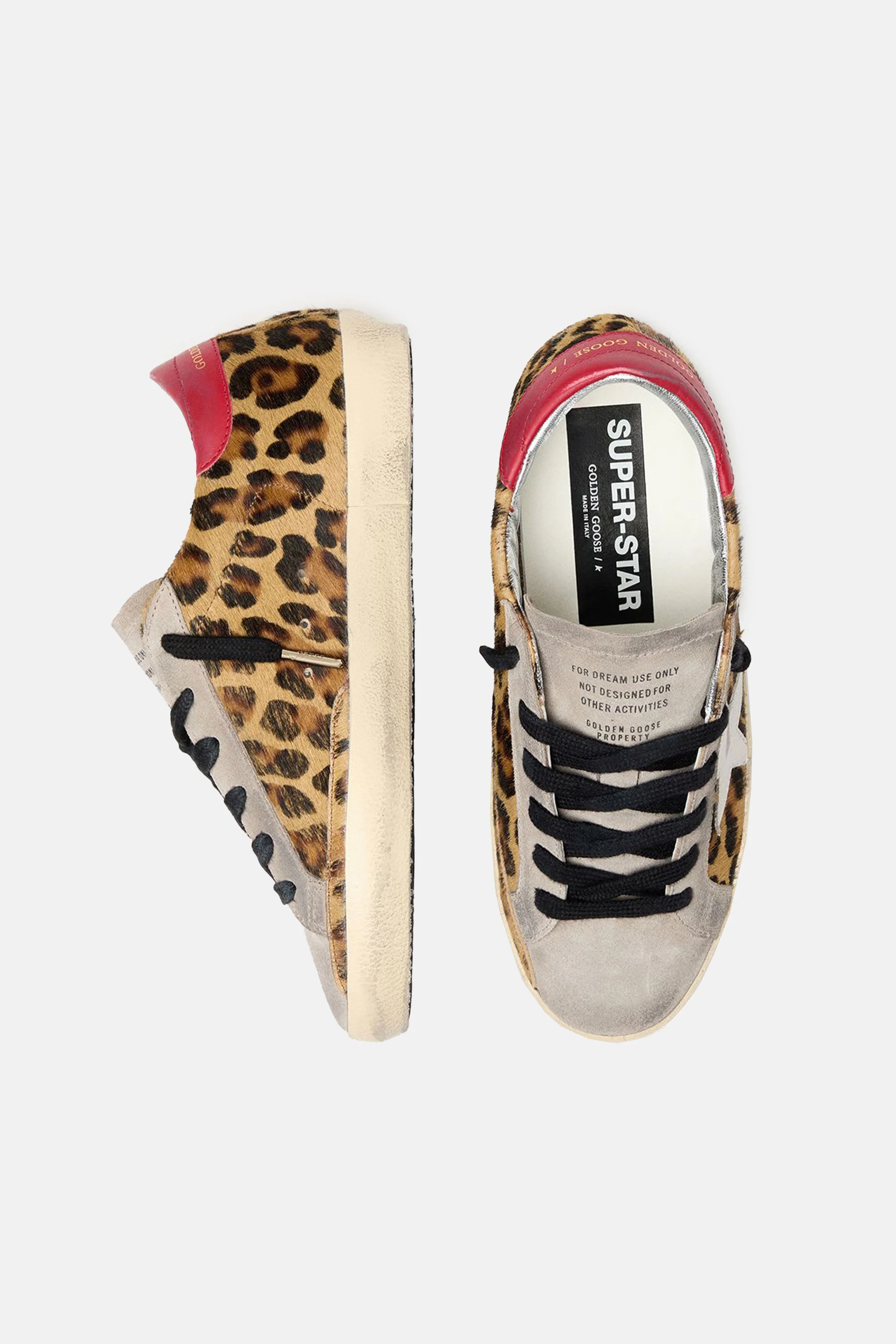 SUPER-STAR LEOPARD - Image 3